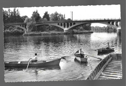 Andrézieux, Pont Sur La Loire (A12p91) - Andrézieux-Bouthéon
