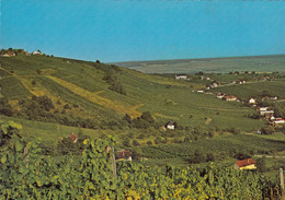 AK - Burgenland - Eisenberg (Pinkafeld) - 1960iger - Pinkafeld