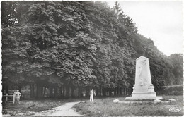 88    Lamarche  -   Les Promenades  Et Le Monument Charle Renard - Lamarche