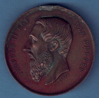 Médaille Léopold II Section De Walcourt / Florennes Exposition De 1873 - Professionali / Di Società