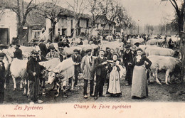 CPA "Dans Les Pyrenées" - Champ De Foire Pyrenéens. - Otros & Sin Clasificación