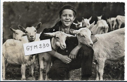 MONTANA - Berger Et Ses Chèvres ( 9x14) - VS Wallis