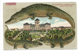1002 FR  Jacksonville Hôtel Windsor And Hemming Park Crocodiles CPA  TBE - Jacksonville