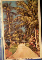 USA PALM BEACH, FLORIDA - TRAIL ALONG LAKE  V1950 IO6394 - Palm Beach