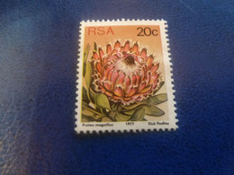 Rsa - Protea Punctata - Dick Findlay - 20 C. - Multicolore - Non Oblitéré - Année 1977 - - Usati