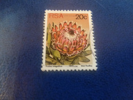Rsa - Protea Punctata - Dick Findlay - 20 C. - Multicolore - Oblitéré - Année 1977 - - Gebruikt