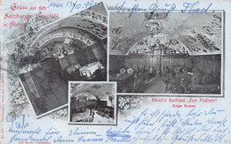 SALZBURGER BIERSTUBL In STEYR AUSTRIA~POTSCH'S GASTHAUS "ZUM POSTHORN"~1899 FANIL PRIETZEL POSTCARD 56309 - Steyr