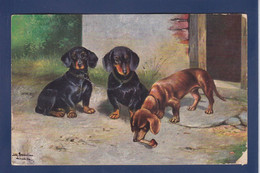 CPA Teckel Dachshund Dackel Circulé - Dogs