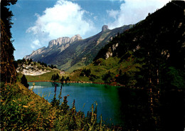 Fählensee - Blick Gegen Hohe Häuser (35683) * 23. 8. 1982 - Altri & Non Classificati