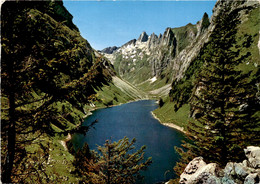 Fälensee (32931) * 4. 10. 1967 - Altri & Non Classificati