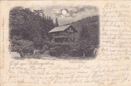 684/ Gruss Aus Schlangenbad, Schweizerhaus, 1898 - Schlangenbad