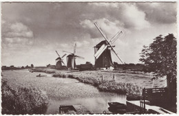 Stompwijk - Drie Watermolens Langs De Voor - (Zuid-Holland, Nederland) - No. 4207 - Moulin/Mill/Mühle/Molen - Leidschendam