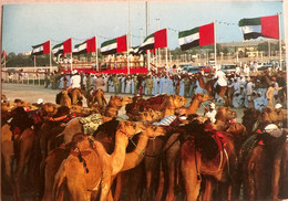 UNITED ARAB EMIRATES,POSTCARD ,ALL RIGHTS RESERVED,CAMELS,FLAGS, PEOPLES - Emirats Arabes Unis