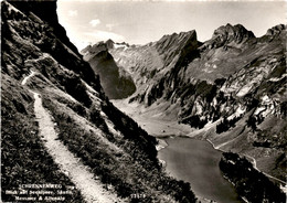 Schrennenweg - Blick Auf Seealpsee, Säntis, Messmer & Altmann (22876) * 6. 8. 1960 - Altri & Non Classificati