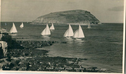 ROYAUME - UNI / UNITED KINGDOM - Anglesey : Photo - Puffin Island From Penmon Point - Anglesey