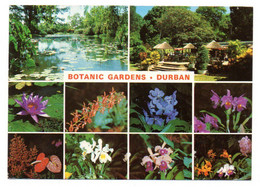 Afrique Du Sud--DURBAN--1982--Botanic Gardens (fleurs) --timbre (préhistoire)  ..cachet .............. - South Africa