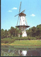 Nederland Holland Pays Bas Tholen Korenmolen - Tholen