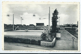 Quaregnon - Le Stade - Quaregnon