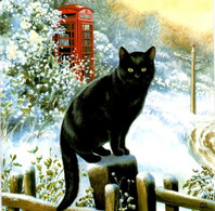 Chat Noir  - Cat  - Katzen-  Zwarte Poes In De Sneeuw - Katten
