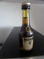 MIGNONNETTE COGNAC MARTELL - Miniatures