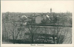 BE HAACHT / Panorama / - Haacht