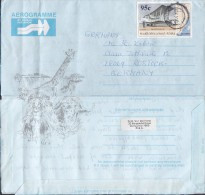 South Africa Air Mail Par Avion Aerogramme BERGVLIET 1995 Cover Brief ROSTOCK Germany Giraffe & Lion Cachet - Luchtpost