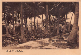 013822 "SOMALIA - A.O.I. - PALMIZI"  VEDUTA, ANIMATA. CART NON SPED - Somalie