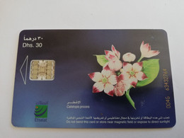 UNITED ARAB EMIRATES -ETISALAT- UAE 217   DHS 30 / FLOWERS/   CHIPCARD Phonecard As Scan  FINE USED    ** 9046** - Emirats Arabes Unis