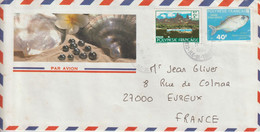 Lettre Polynésie 1990 Pour La France - Cartas & Documentos