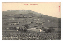 Odenas Canton De Belleville Côteau De Brouilly Rhône 69460 Cpa Non Voyagée En Superbe.Etat - Other & Unclassified