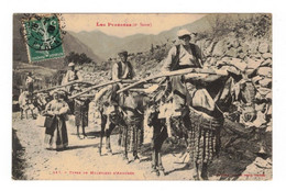 Les Pyrénées Types De Muletiers D'Andorre Mulet Mule N°547 Cpa Ayant Voyagée En B.Etat - Andorre