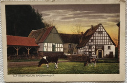 Alle Ferme De Siegerland Vaches Etable Maison - Siegen