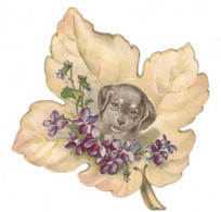 Chromo Découpi Chocolat Payraud Chien Dog Cane Feuille Fleur Flower Format 9,9 Cm X 10 Cm En B.Etat - Animals