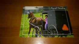 AMISH COUNTRY - Lancaster