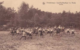 Heide - Kalmthout - Diesterweg's Openluchtschool - Gymnastique - Circulé - Animée - Nels - TBE - Kalmthout