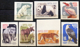 RUSSIA - USSR -  CATS PELICAN BEARS PANDA  EAGLE  IMPERF- **MNH - 1964 - Big Cats (cats Of Prey)
