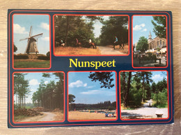 Nederland Nunspeet - Nunspeet