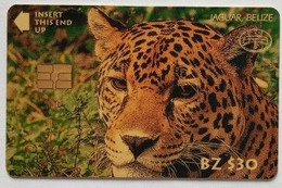 Belize BZ$30 Big Cat/ Leopard ( With Small Chip Variety ) - Belize