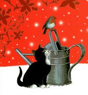 Chat  - Cat Bird -katze - Poes En Roodborstje Op Gieter - Katten