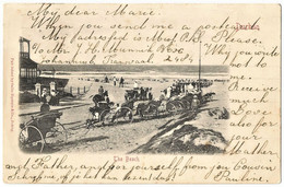 South Africa 1903. The Beach, Durban. A Pictorial Sallo Epstein Card. - Afrique Du Sud