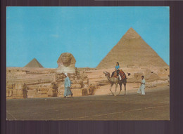 EGYPTE GIZA THE GREAT SPHINX AND KHEFREH PYRAMID - Sphinx