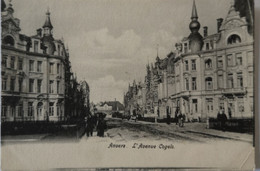 Antwerpen - Anvers  // Avenue Cogels Ca 1900 - Antwerpen