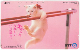 JAPAN M-354 Magnetic NTT [390-154-62.11.1] - Animal, Cat - Used - Japan
