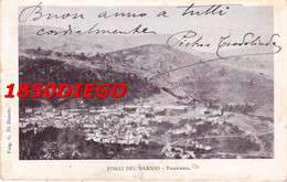 FORLI DEL SANNIO  - PANORAMA F/PICCOLO VIAGGIATA - Isernia