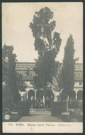 ROMA Museo Delle Terme Vintage Postcard Italy - Musées