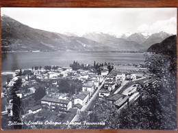 LOMBARDIA -LECCO -BELLANO COLTOGNO -F.G. LOTTO N°782 - Lecco