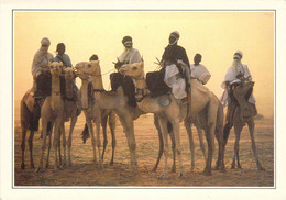 Teguidda N'Tessoumt - La "cure Salée" - Niger
