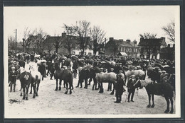 CPSM 29 - Landivisiau, Le Champ De Foire - Landivisiau