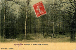 Brunoy * Dans La Forêt De Sénart * Cpa Toilée Colorisée * Bucheron Bois - Brunoy