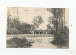 CARMAUX CHAUSSEE DU PONT NEUF 1905 - Carmaux
